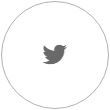 Icon Twitter - WILOG Media